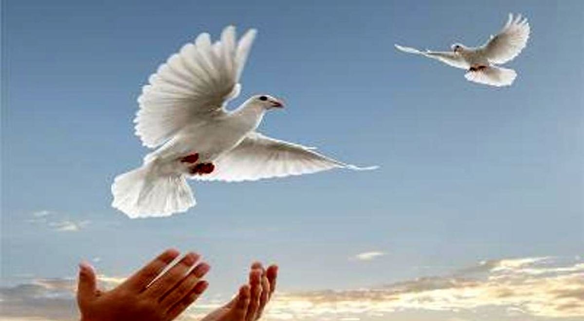 نگران نباشید و غصه نخورید خدا می بیند و می شنود