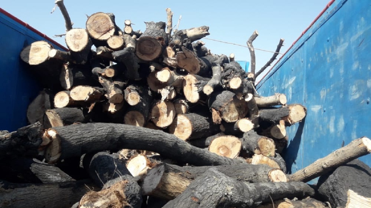 کشف ۲ تن چوب قاچاق در شوش