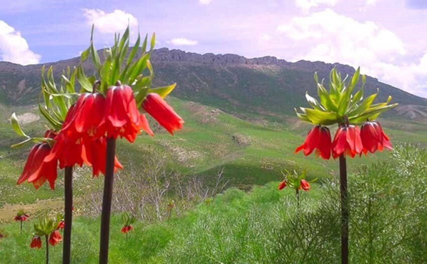 یاسوج زیبا و ۱۴ منطقه دیدنی آن را بشناسید