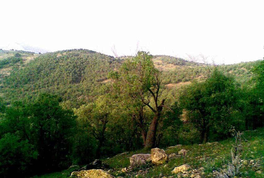 یاسوج زیبا و ۱۴ منطقه دیدنی آن را بشناسید