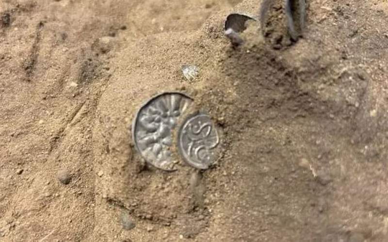 گنج کمیاب هزارساله