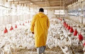 جلوگیری از تعطیلی ۹ واحد تولیدی در حمیدیه جلوگیری از تعطیلی ۹ واحد تولیدی در حمیدیه