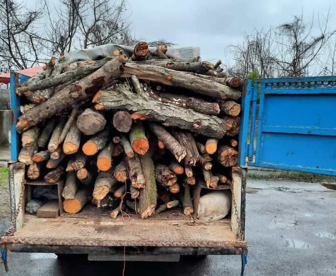 توقیف چوب غیرمجاز از یک وانت نیسان در زنجان توقیف چوب غیرمجاز از یک وانت نیسان در زنجان