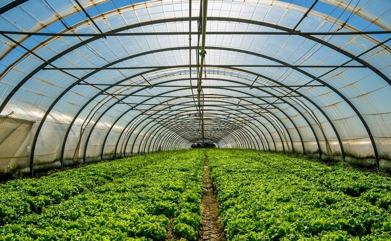 توسعه گلخانه ها با استفاده از پنلهای خورشیدی و روشهای نوین توسعه گلخانه ها با استفاده از پنلهای خورشیدی و روشهای نوین