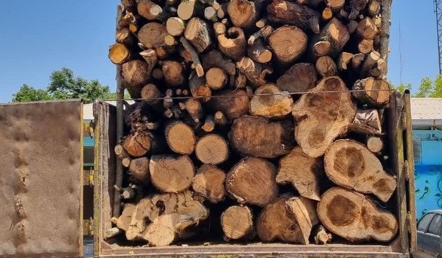 کشف ۳ تن چوب قاچاق در بوکان کشف ۳ تن چوب قاچاق در بوکان