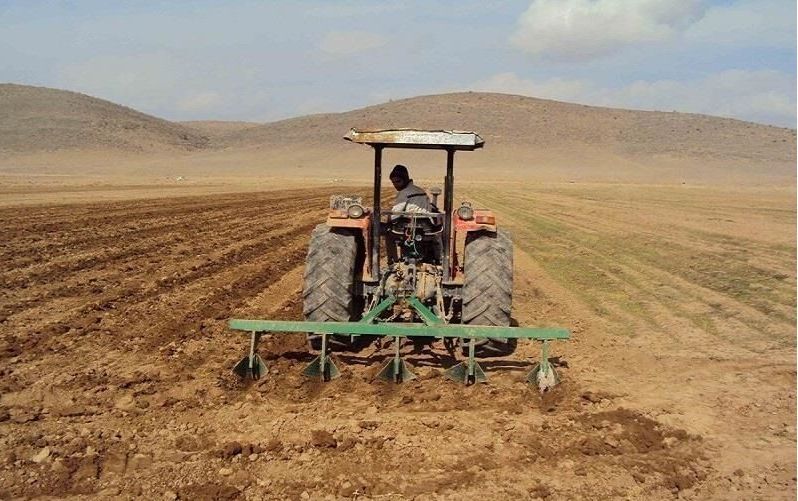 کشت پاییزه در ۲۳۲ هزار هکتار از کشتزارهای خراسان شمالی کشت پاییزه در ۲۳۲ هزار هکتار از کشتزارهای خراسان شمالی