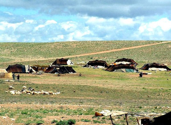 مدیرکل امور عشایری استان: عشایر برای کوچ، شتاب نکنند.