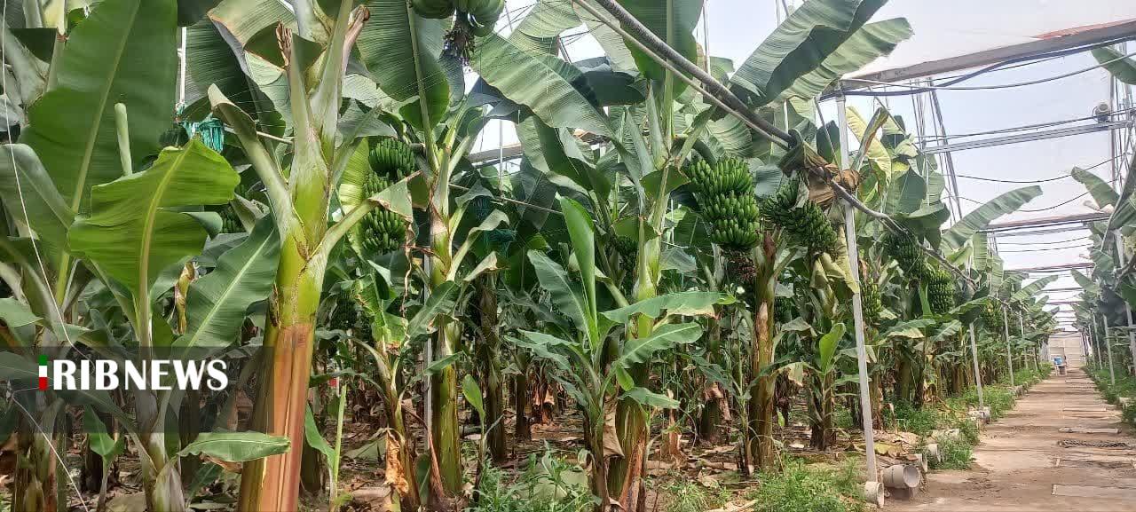 مرکزی، سرزمین فرصتها مرکزی، سرزمین فرصتها