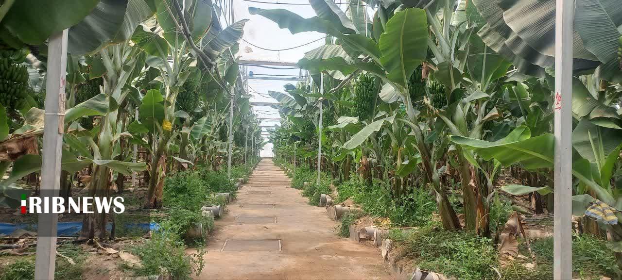 مرکزی، سرزمین فرصتها مرکزی، سرزمین فرصتها