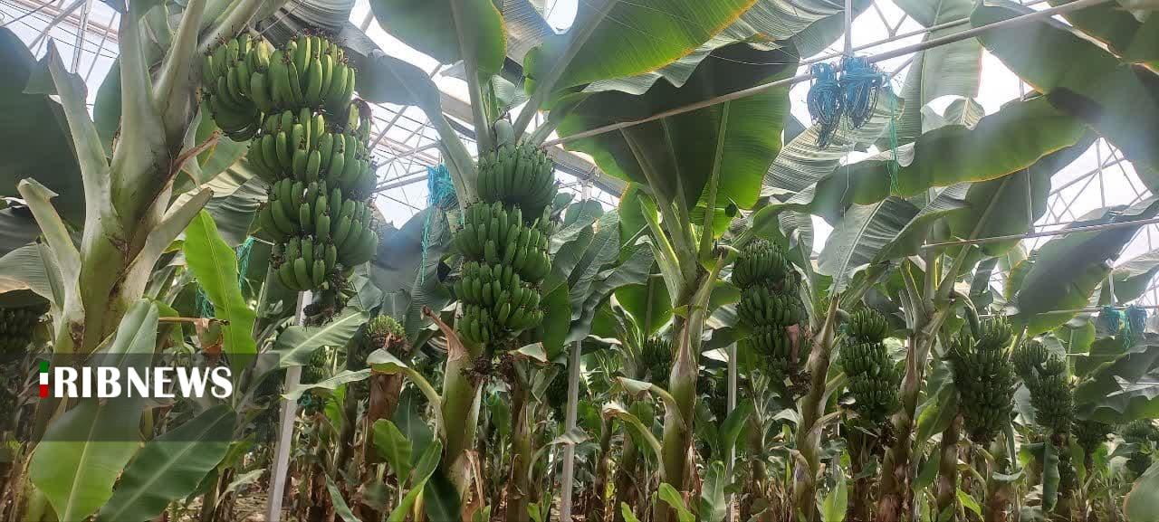 مرکزی، سرزمین فرصتها مرکزی، سرزمین فرصتها