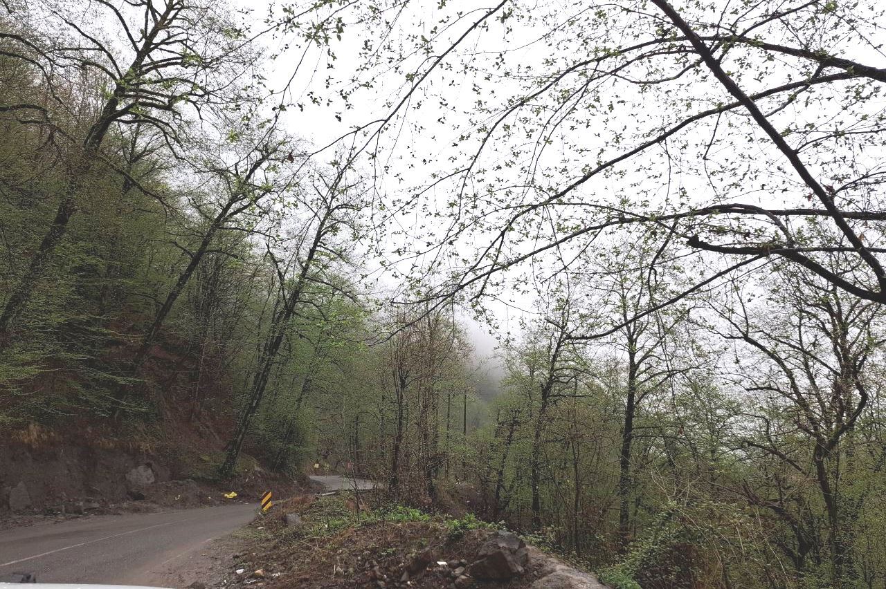 بارش رگبار‌های بهاری در سراسر گیلان