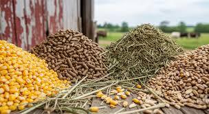 آغاز فعالیت کارگزار توزیع نهاده‌های کشاورزی در هندیجان