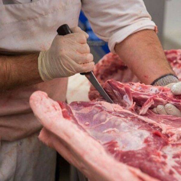 محکومیت دو قصاب سبزواری به‌دلیل کشتار غیرمجاز