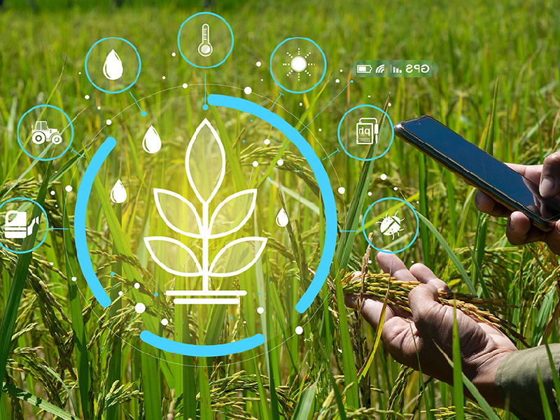 برنامههای آیندهنگرانه ۲۰ ساله در کشاورزی با سازمان تات برنامههای آیندهنگرانه ۲۰ ساله در کشاورزی با سازمان تات