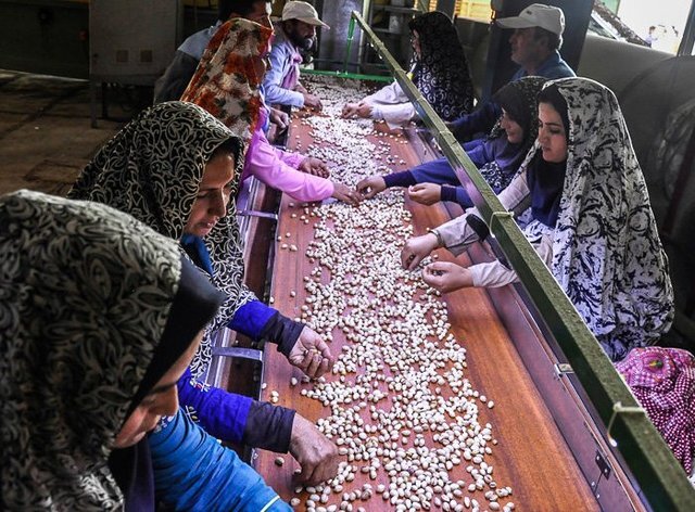 اجرای هزار و ۵۰۰ طرح روستایی در خراسان شمالی اجرای هزار و ۵۰۰ طرح روستایی در خراسان شمالی