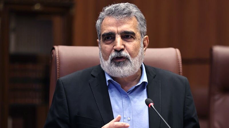 برخورداری کامل از فناوری صلح‌آمیز هسته‌ای حق ایران است