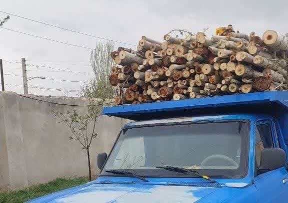 کشف چوب قاچاق از طبیعت باروق 