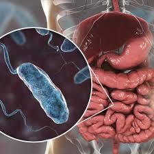 ضرورت توجه به توصیه ها در پیک بهاری وبا