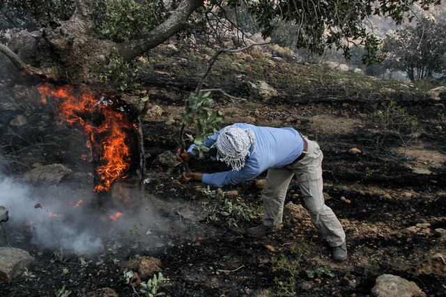 مهار عمده آتشسوزی در جنگلهای خوزستان پس از اقدامات فوری مسئولان استانی مهار عمده آتشسوزی در جنگلهای خوزستان پس از اقدامات فوری مسئولان استانی