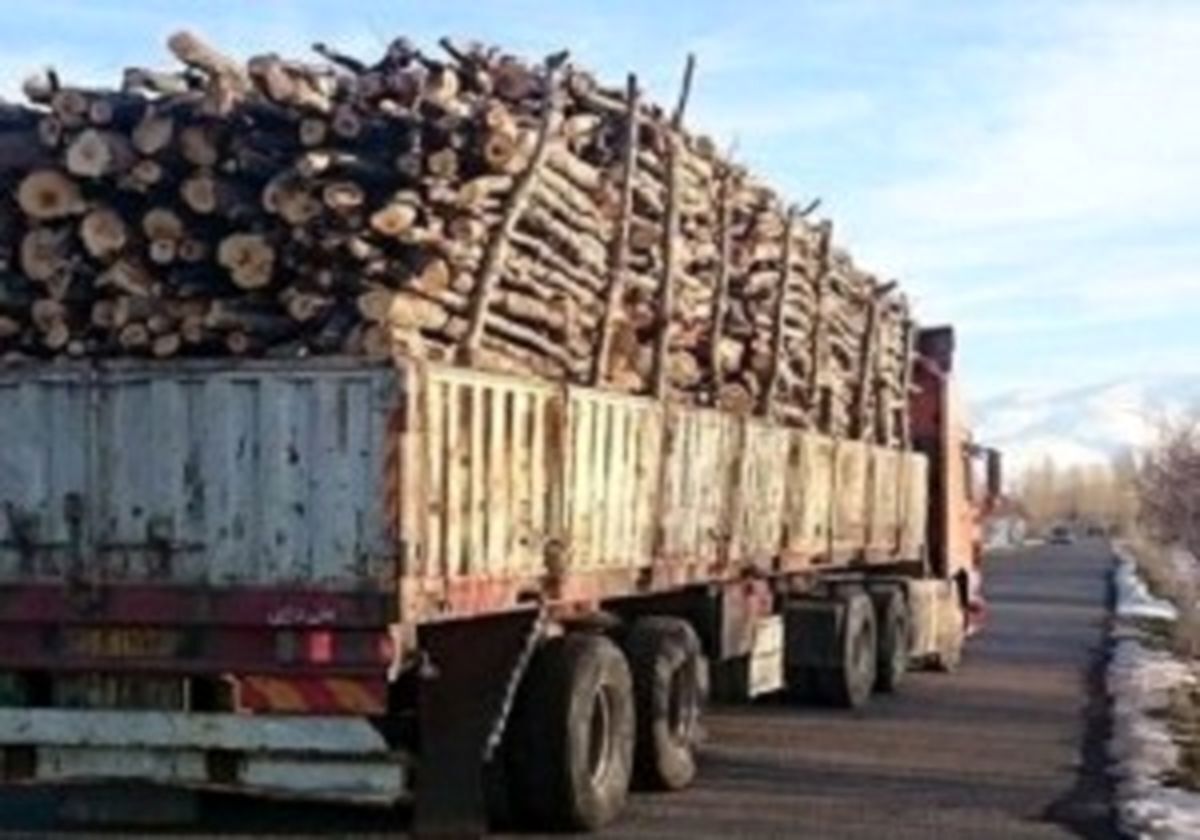 کشف ۱۰ تن چوب‌ جنگلی قاچاق در اتوبان اردبیل - آستارا