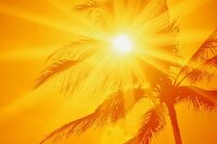 گرمای خرماپزان در بافق