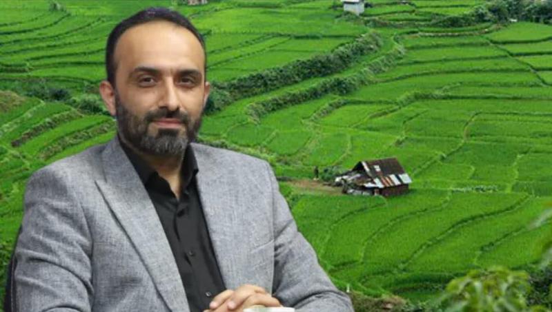 آغاز برداشت برنج از هفته سوم تیر در مازندران