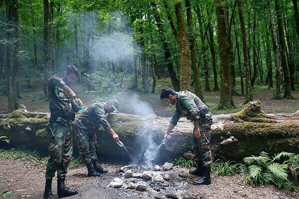 توسعه جنگلبانی، خط مقدم مقابله با تخریب منابع طبیعی توسعه جنگلبانی، خط مقدم مقابله با تخریب منابع طبیعی