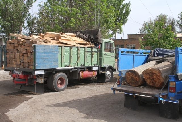 تشکیل پرونده قضایی برای ۶ متخلف قاچاق چوب در اردبیل