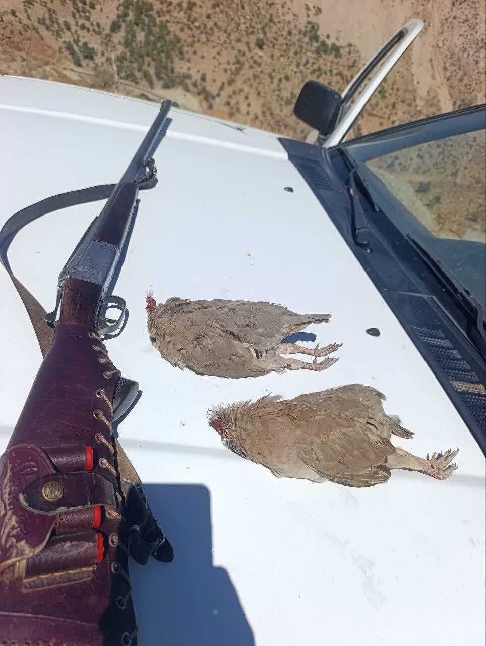 دستگیری متخلفان شکار غیرمجاز توسط یگان حفاظت محیط زیست در دنا