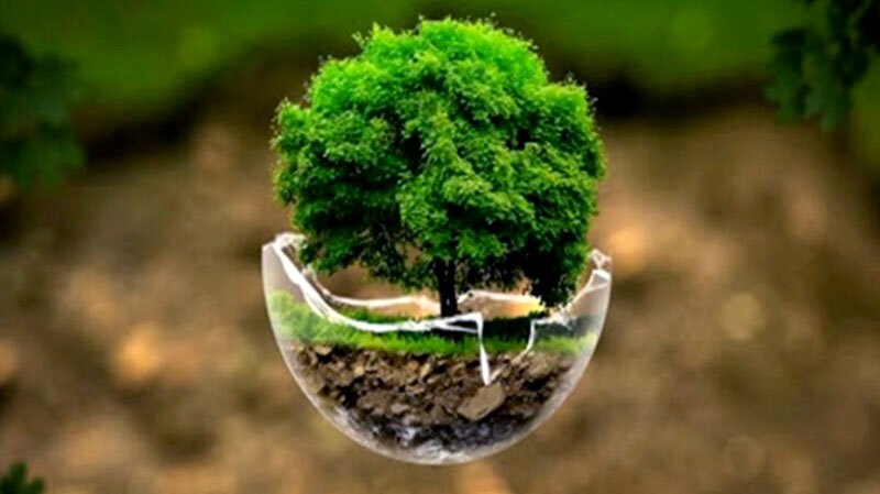 امضای تفاهمنامه همکاری بین صدا و سیما و اداره کل محیط زیست فارس امضای تفاهمنامه همکاری بین صدا و سیما و اداره کل محیط زیست فارس