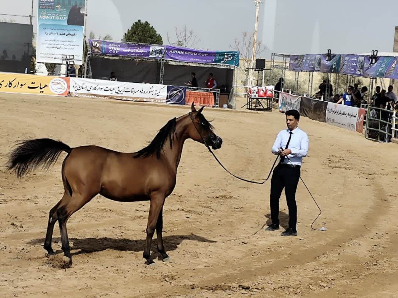 آغاز شانزدهمین دوره مسابقات زیبایی اسب اصیل عرب کشور در اشکذر آغاز شانزدهمین دوره مسابقات زیبایی اسب اصیل عرب کشور در اشکذر