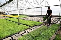 تصویب ۱۸ طرح اشتغالزا در کارگروه اشتغال گیلانغرب