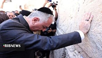 ربات شاه ! ربات شاه !