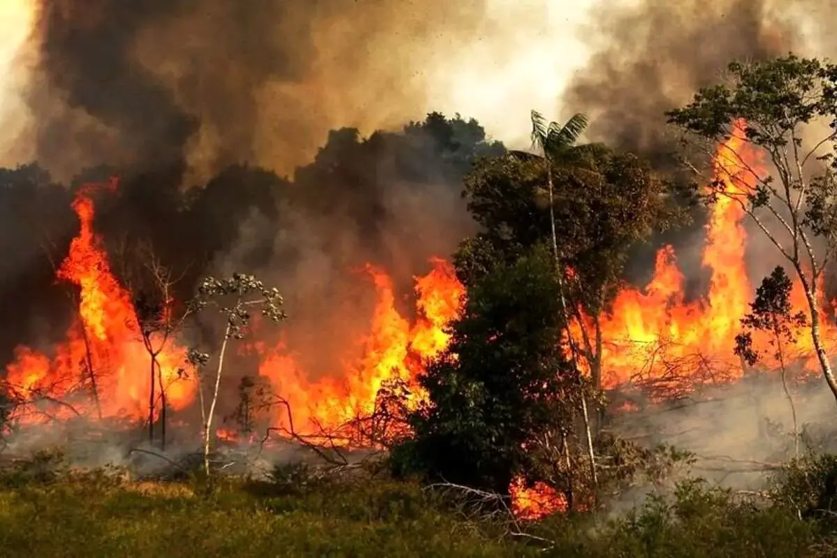 جنگل‌های الیت نیازمند پایگاه دائمی آتش نشانی