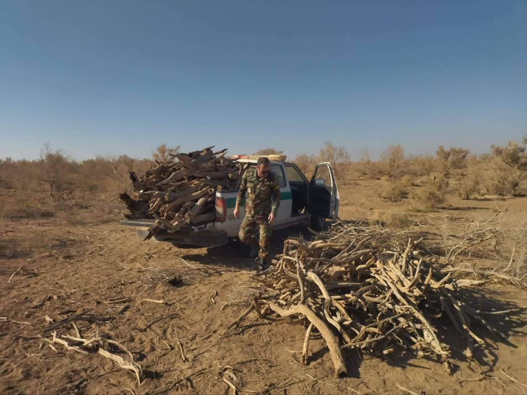 کشف و توقیف حدود ۶۰۰ کیلوگرم درختچه‌های تاغ در ششتمد