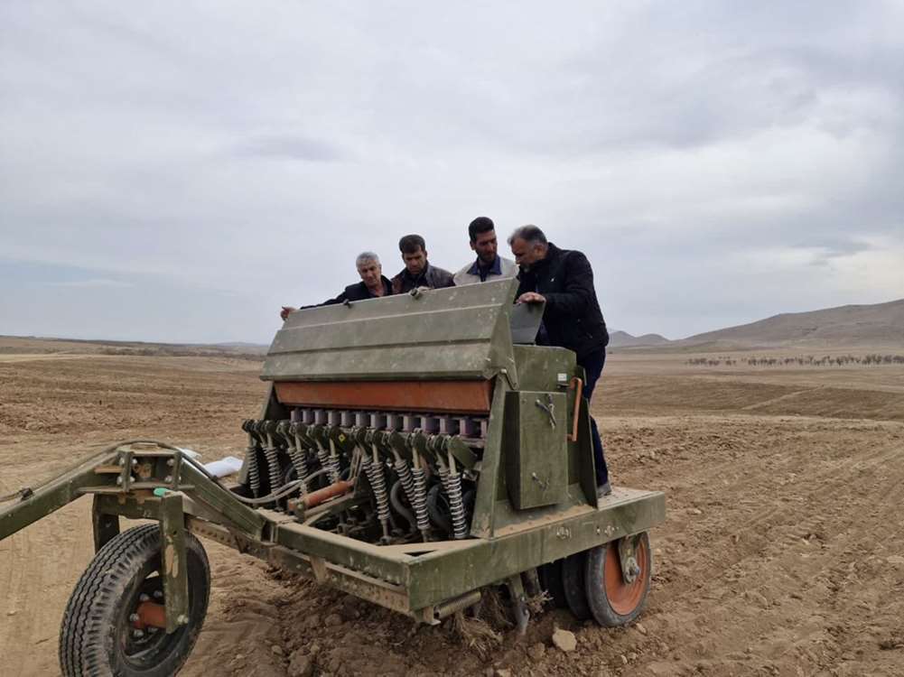 آغاز کشت علوفه دیم در چهارمحال و بختیاری
