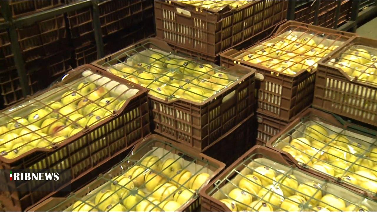 تأمین و ذخیرهسازی میوه شب عید در کردستان تأمین و ذخیرهسازی میوه شب عید در کردستان