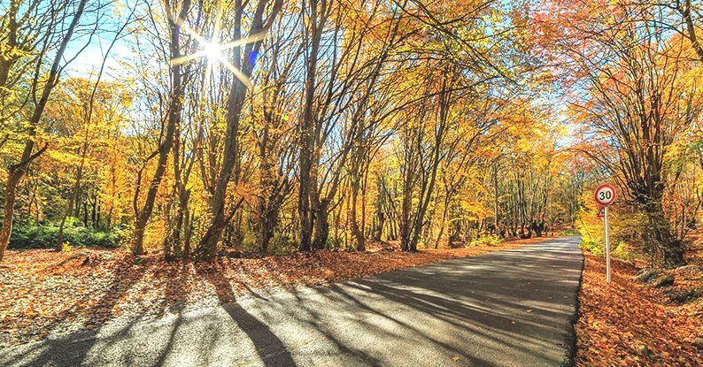 تداوم هوای پایدار پاییزی در گیلان با افزایش دما و وزش باد گرم در ارتفاعات