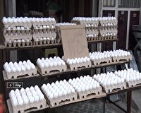 جهش بی‌سابقه قیمت تخم مرغ/ هرشانه ۲۴۰ هزار تومان