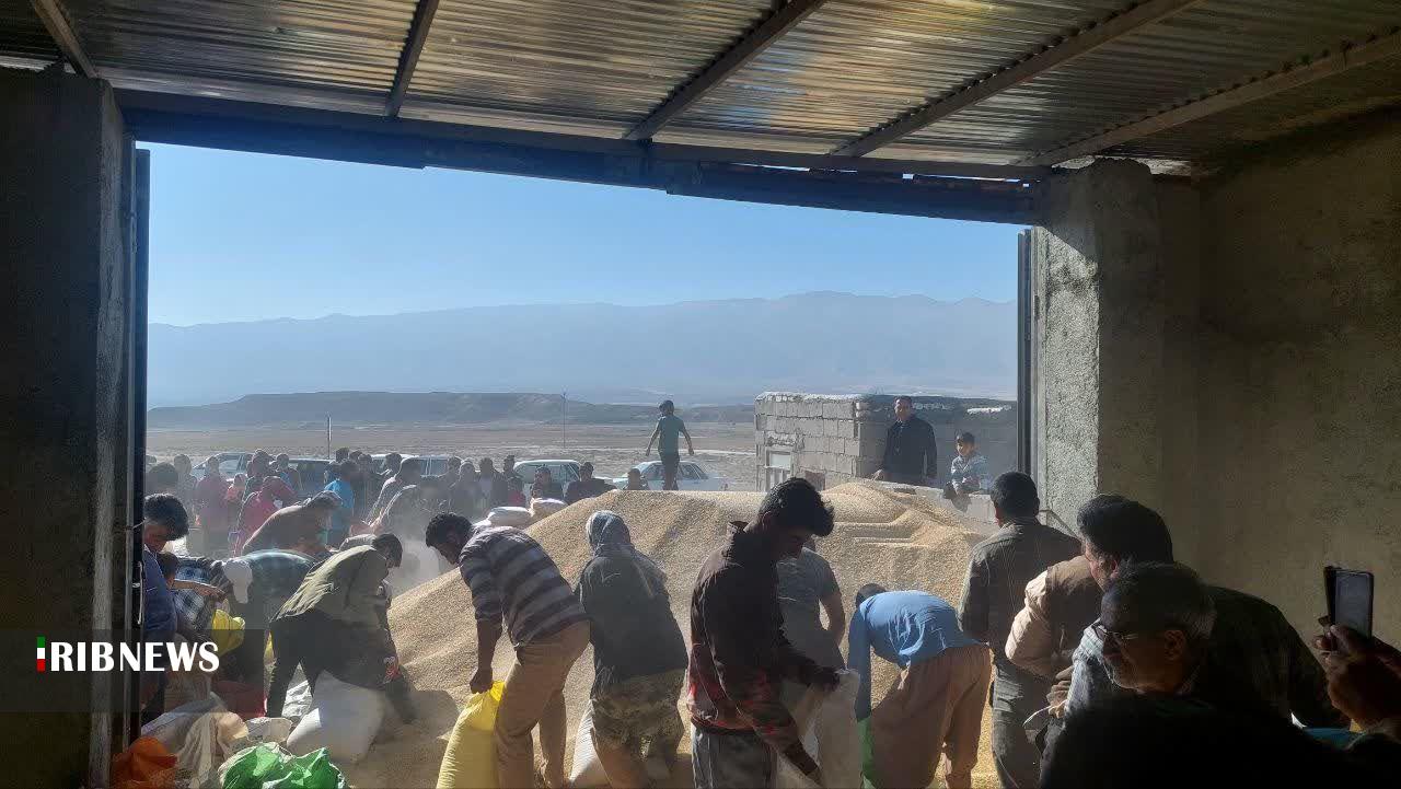 توزیع ۲۴ تن جو و ۲۰ تن سبوس بین ساربانان مانه