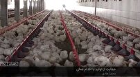 حمایت از سرمایه گذاران زاهدانی با اقدام عملی