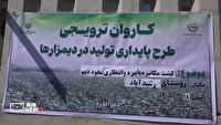 جهش کشت مکانیزه نخود دیم در دیواندره