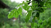 زورآزمایی رگبار‌های بهاری گیلان چند قدم مانده به تابستان