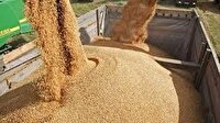ممنوعیت استفاده از خودرو‌های فرسوده در حمل گندم در زنجان
