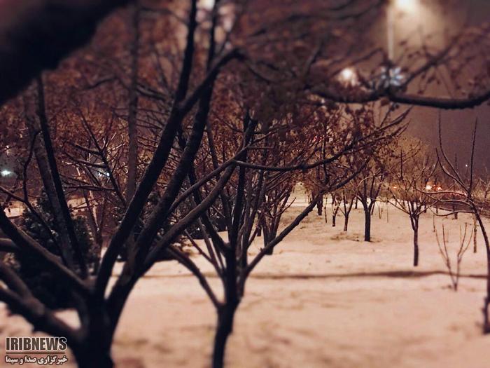 بارش برف در بوستان غدير قم