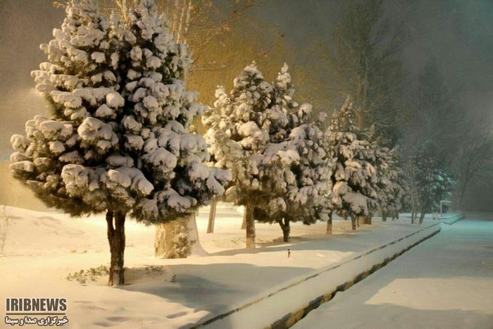 بارش برف در ماهدشت کرج