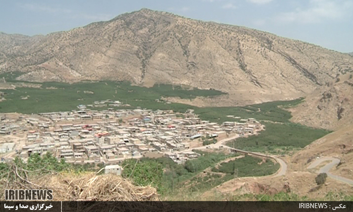 لرستان قطب تولید انجیر سیاه در کشور