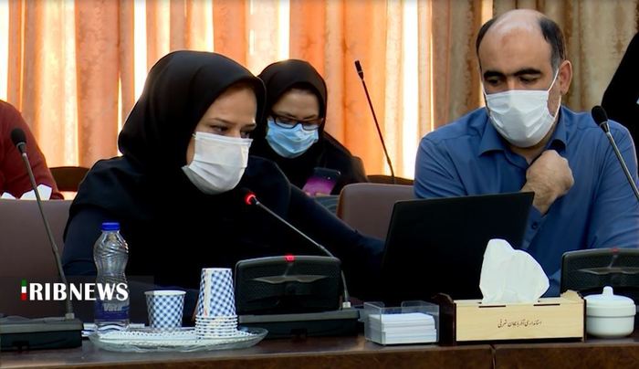 رحمانی - معاون امور معادن و صنایع معدنی سازمان صمت